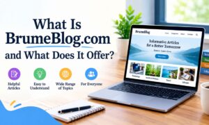 What Is BrumeBlog.com and What Does It Offer_